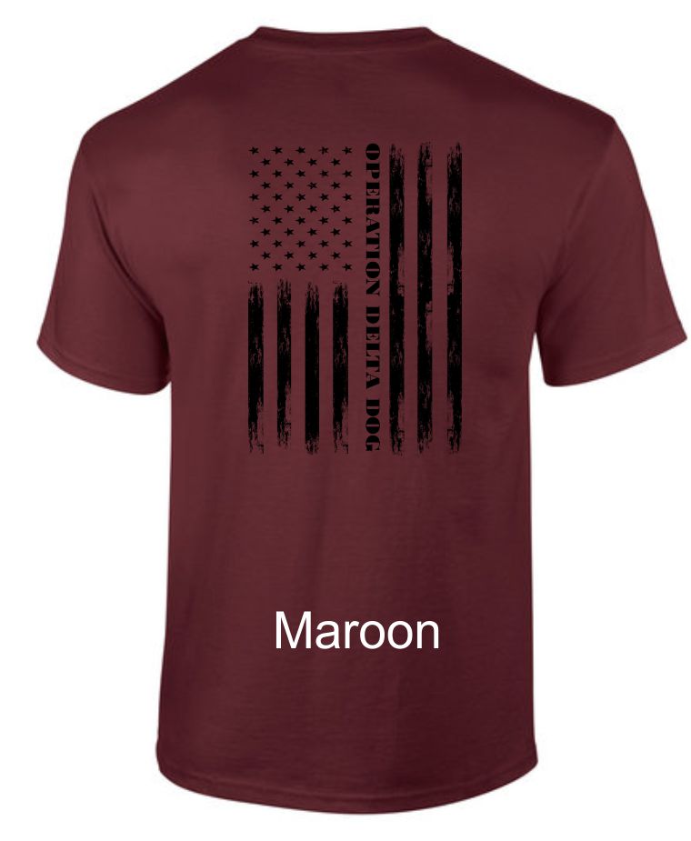 Distressed Flag SS T-Shirt